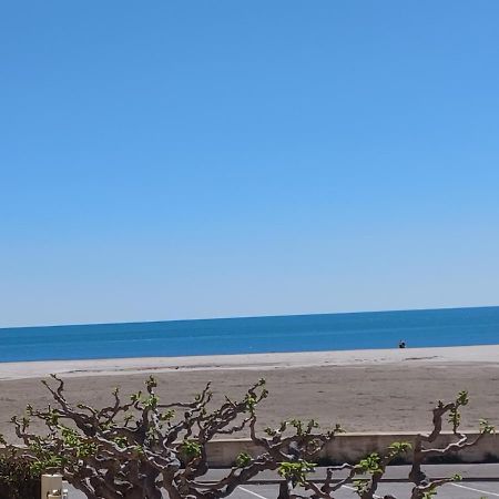 Superbe Appartement Avec Vue Sur Le Port Et Plage Saint-Pierre-la-Mer  Eksteriør billede